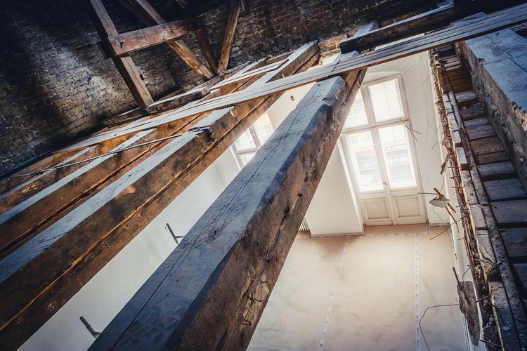 Dry Rot: what is dry rot and how to treat it?